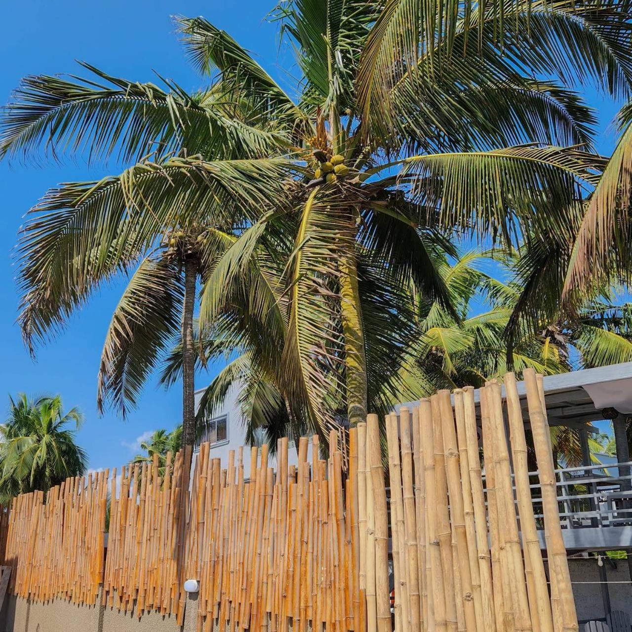 Serenity Terraces Beach, Hotel - Kokrobite المظهر الخارجي الصورة